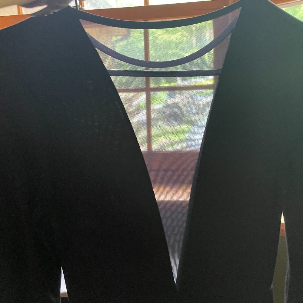 Deep plunge neck dress with long sleeves